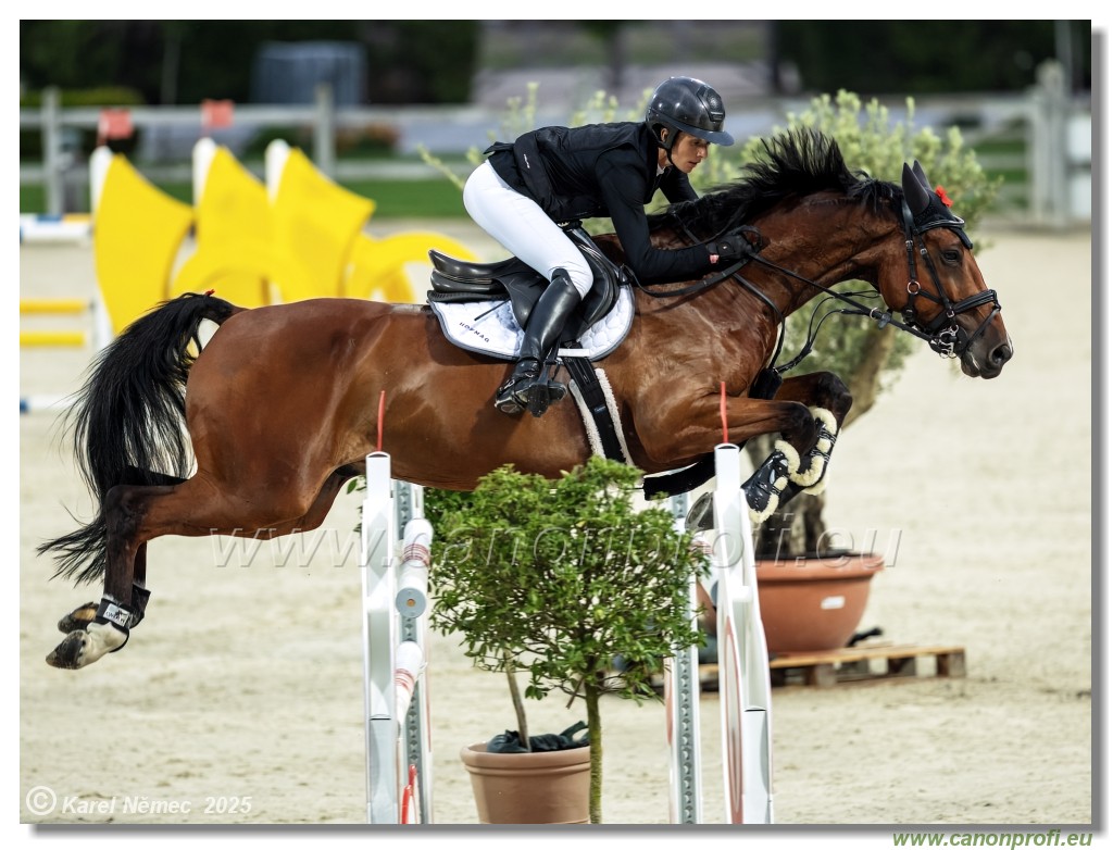 amorn - Danube Champions Tour Week 1