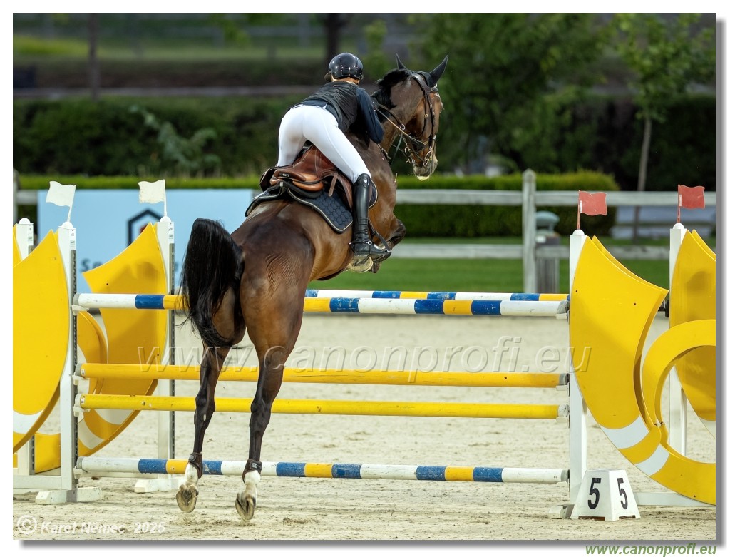 amorn - Danube Champions Tour Week 1