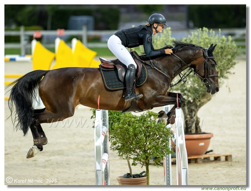 amorn - Danube Champions Tour Week 1