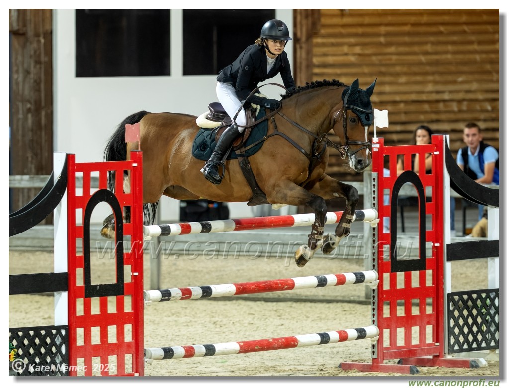 amorn - Danube Champions Tour Week 1