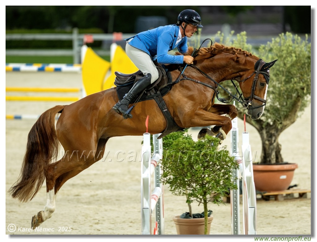 amorn - Danube Champions Tour Week 1