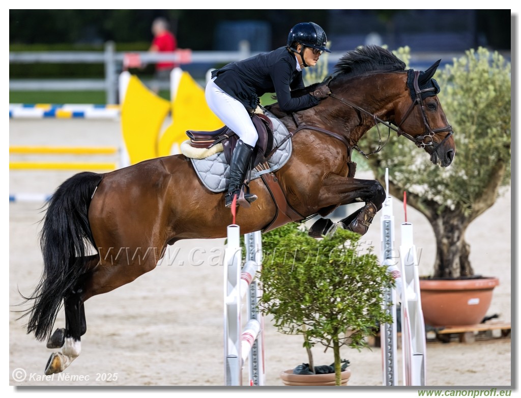 amorn - Danube Champions Tour Week 1