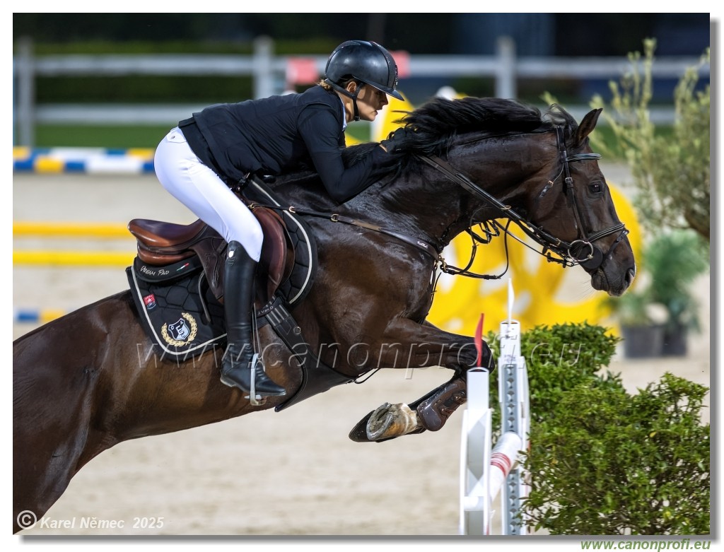 amorn - Danube Champions Tour Week 1