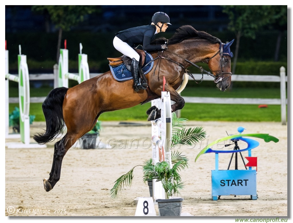 amorn - Danube Champions Tour Week 1