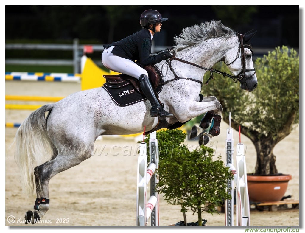 amorn - Danube Champions Tour Week 1