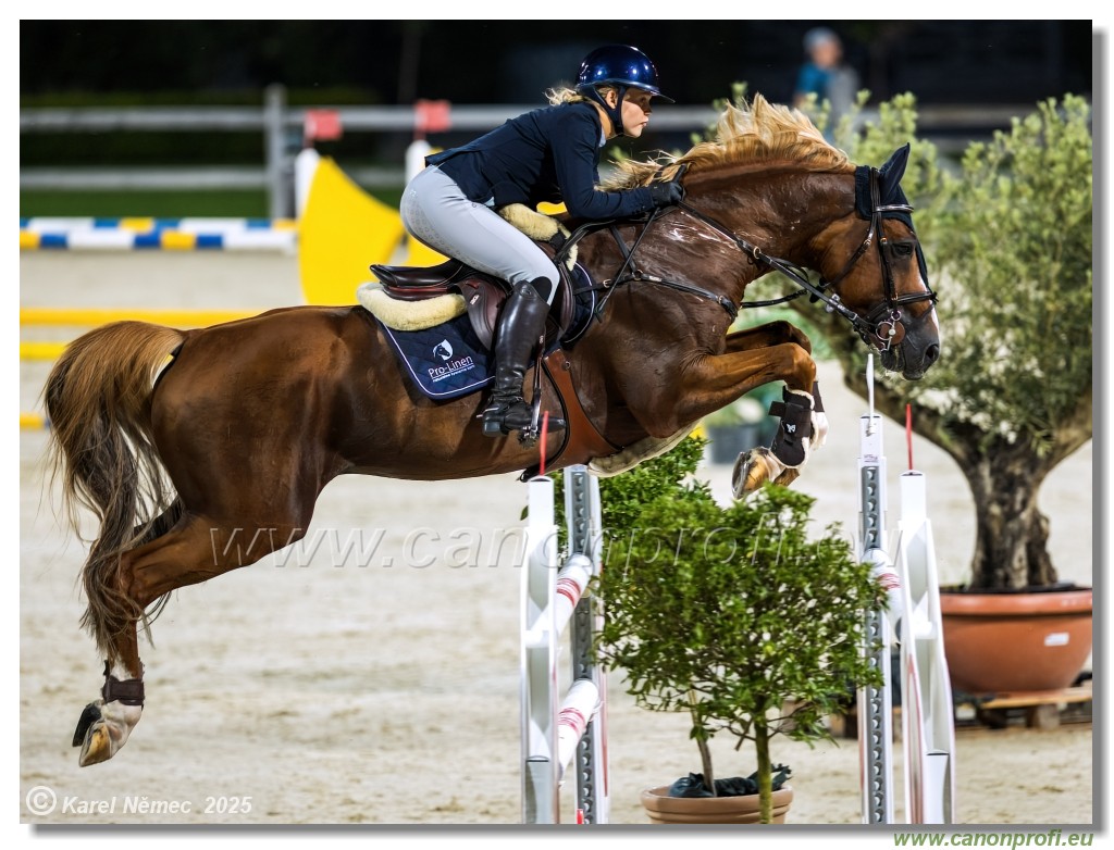 amorn - Danube Champions Tour Week 1