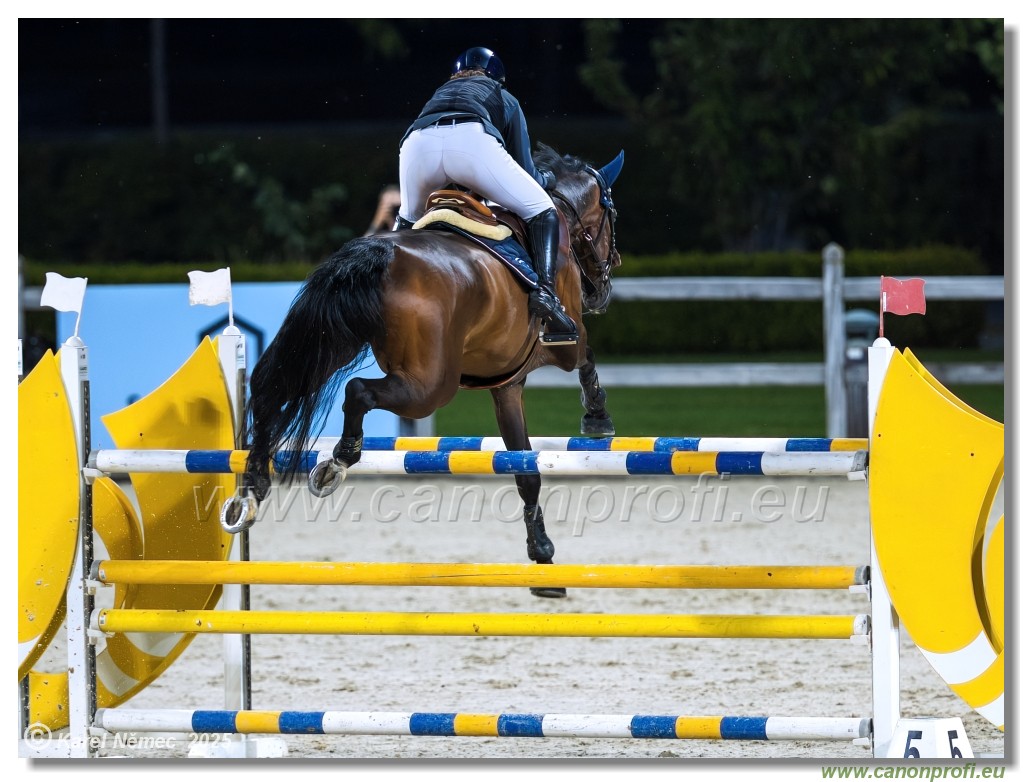 amorn - Danube Champions Tour Week 1