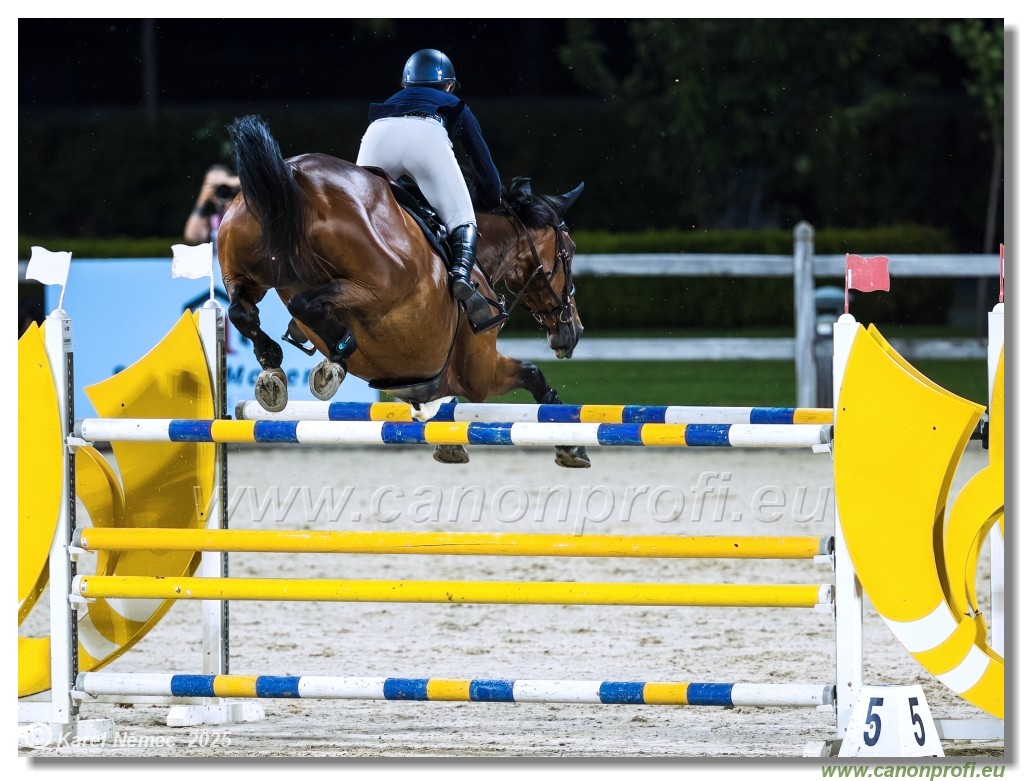 amorn - Danube Champions Tour Week 1