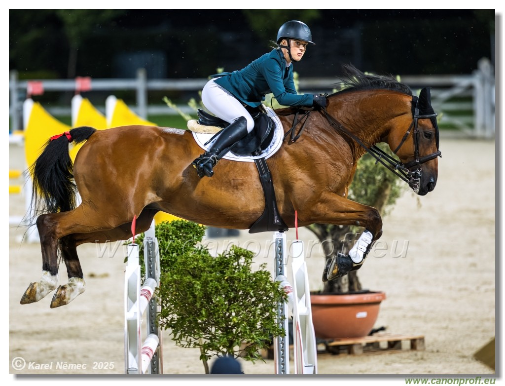 amorn - Danube Champions Tour Week 1