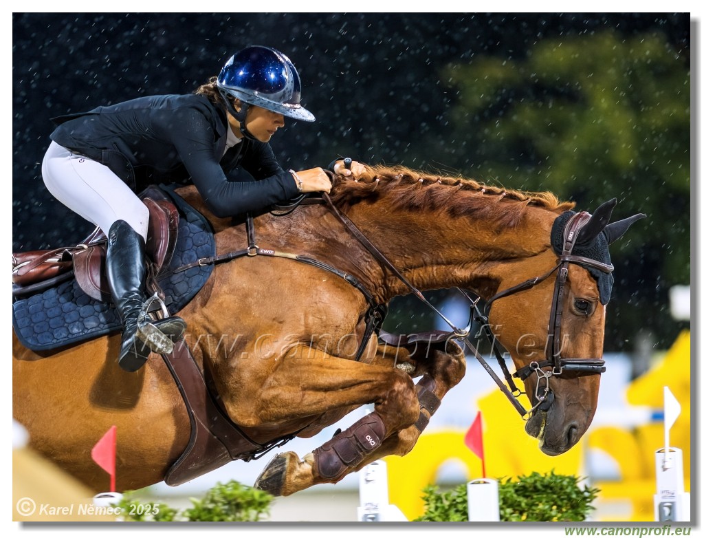 amorn - Danube Champions Tour Week 1