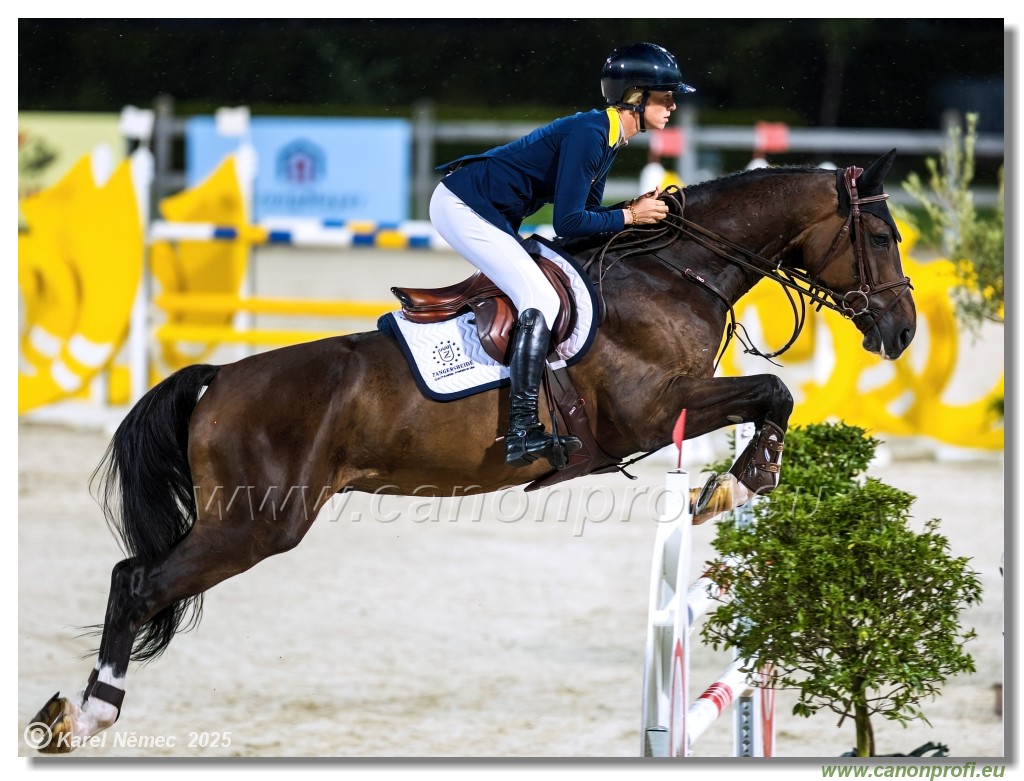 amorn - Danube Champions Tour Week 1