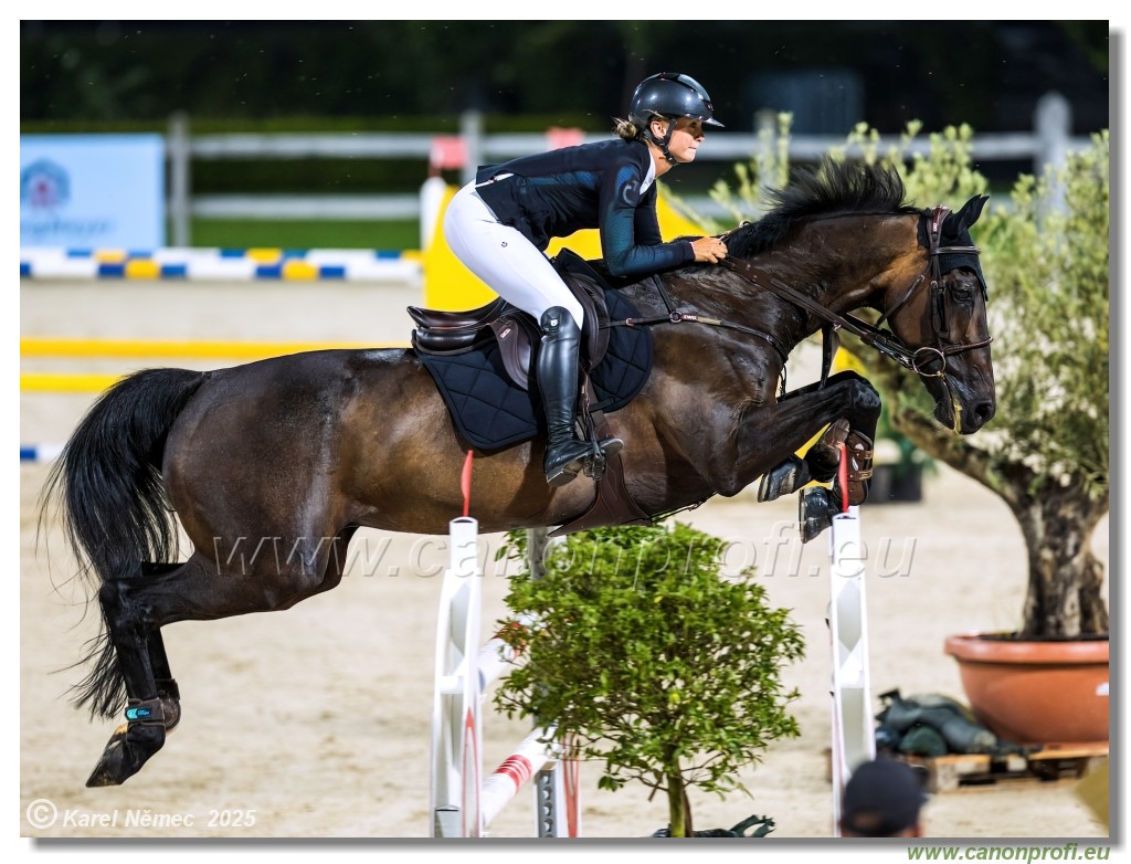 amorn - Danube Champions Tour Week 1