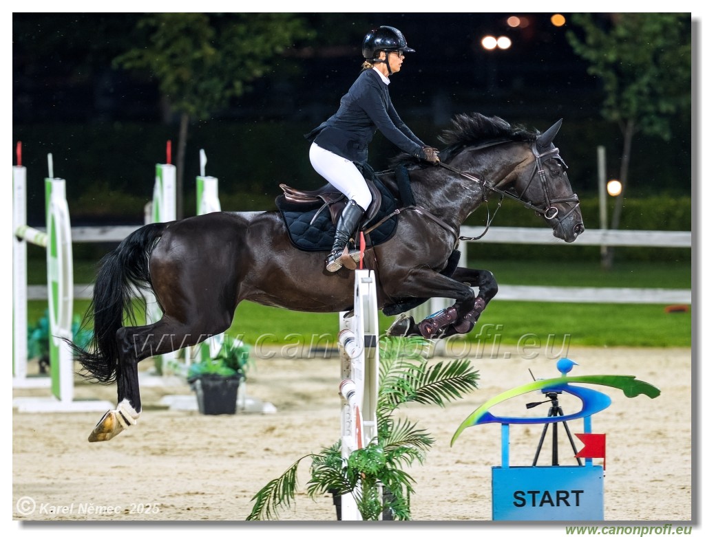 amorn - Danube Champions Tour Week 1