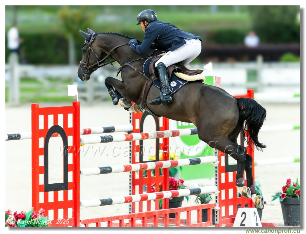 amorn - Danube Champions Tour Week 2