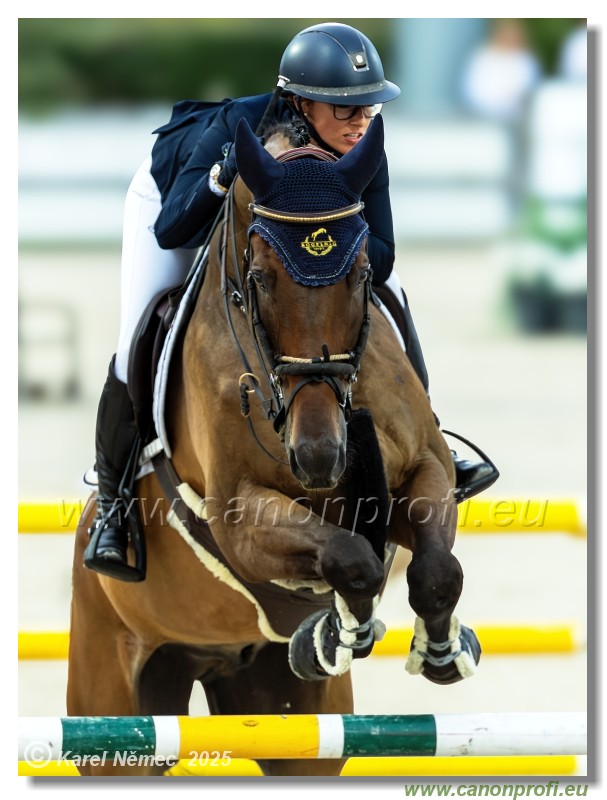 amorn - Danube Champions Tour Week 2