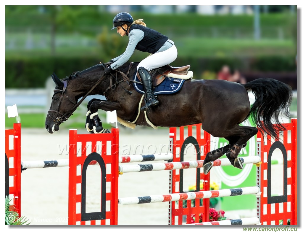 amorn - Danube Champions Tour Week 2