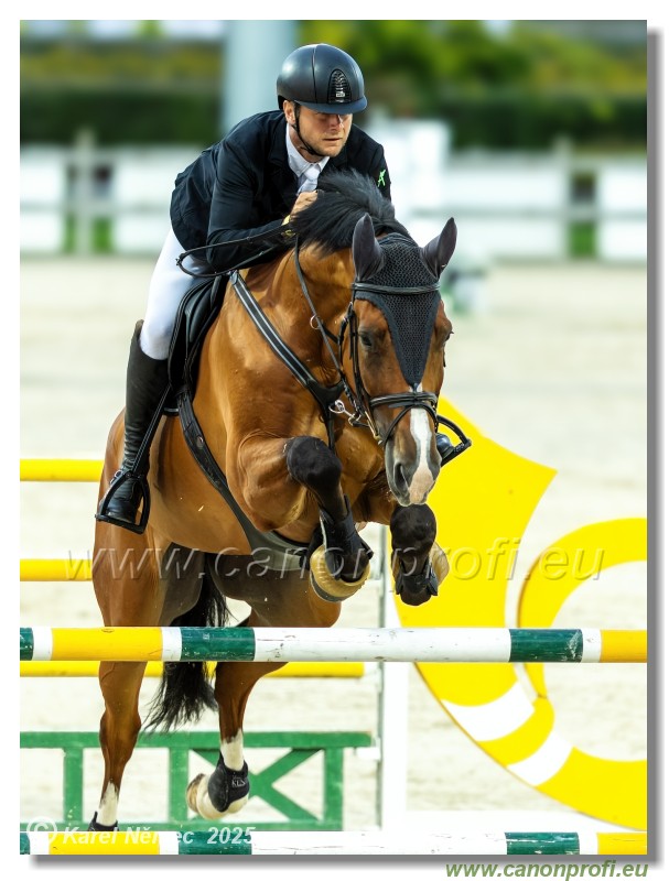 amorn - Danube Champions Tour Week 2