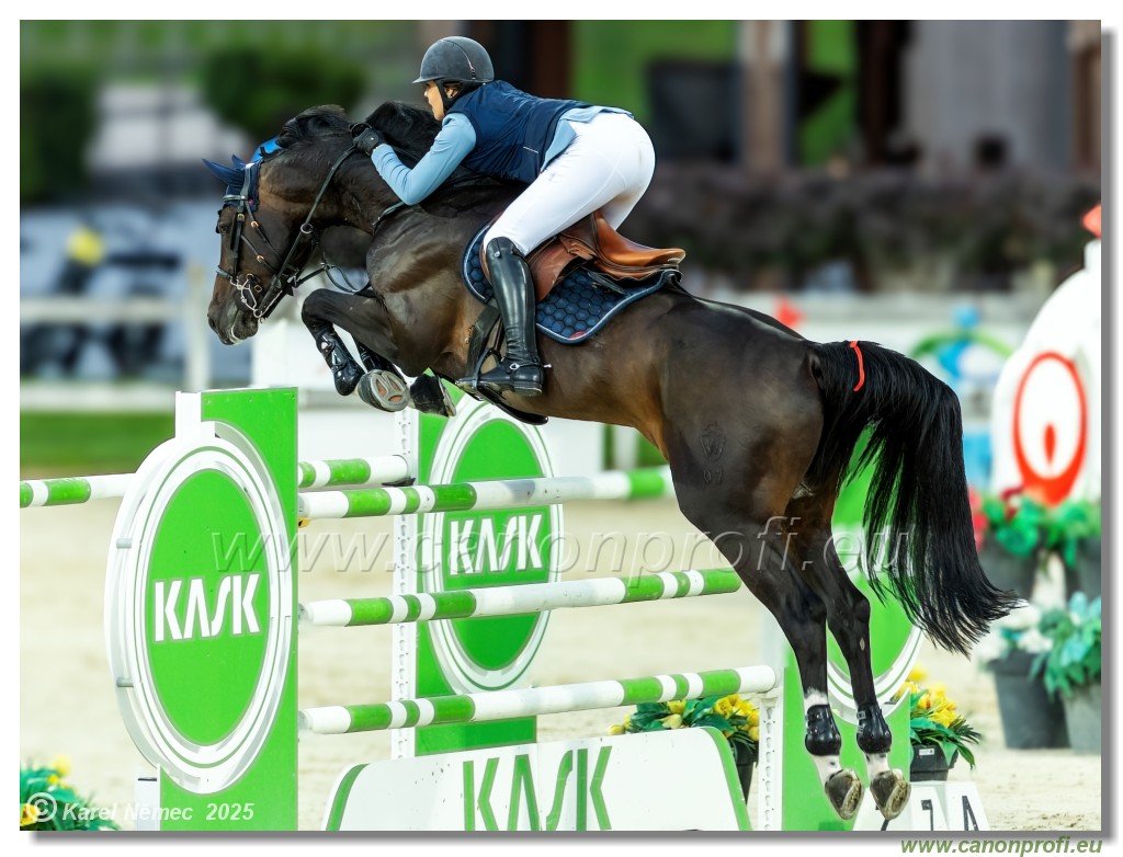 amorn - Danube Champions Tour Week 2