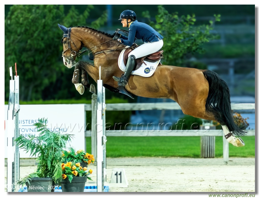 amorn - Danube Champions Tour Week 2