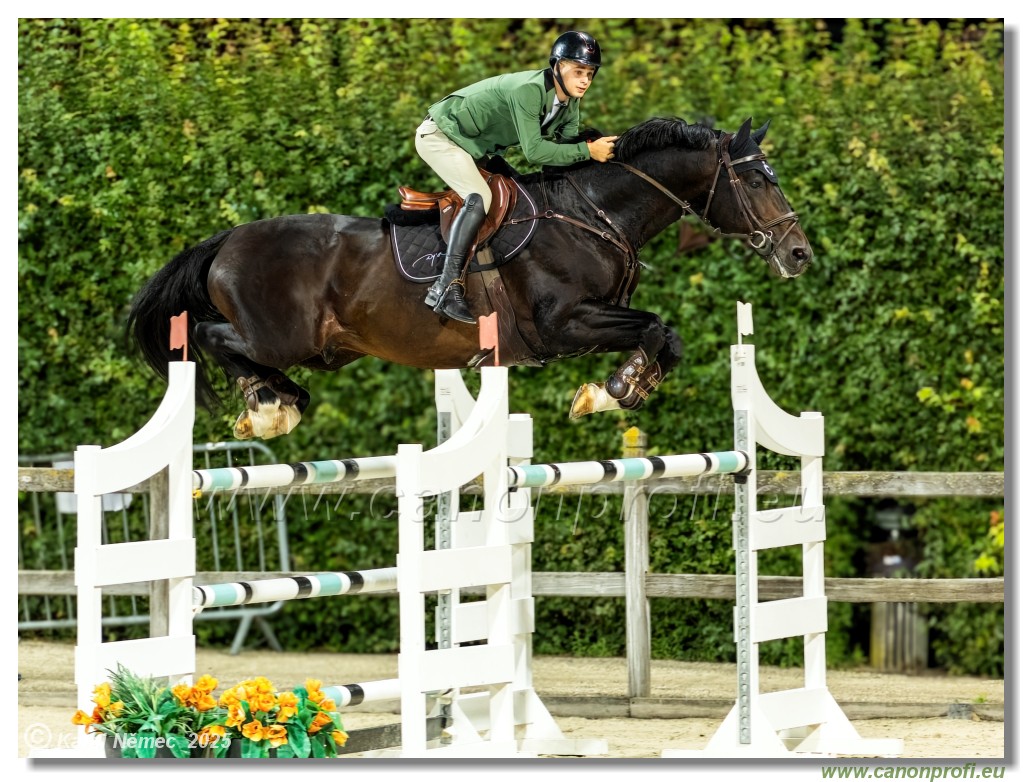 amorn - Danube Champions Tour Week 2