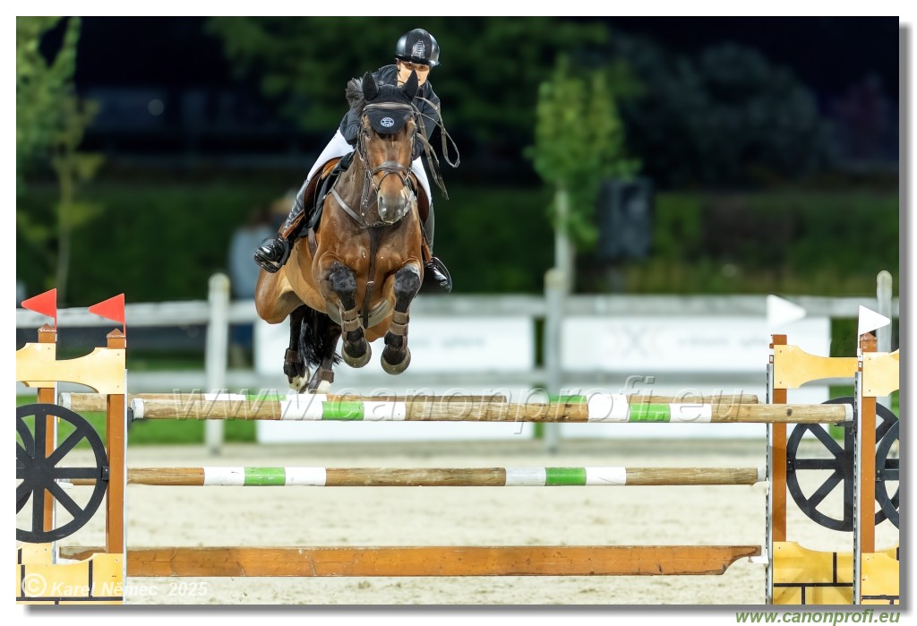 amorn - Danube Champions Tour Week 2