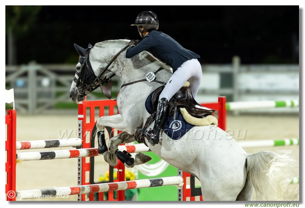 amorn - Danube Champions Tour Week 2