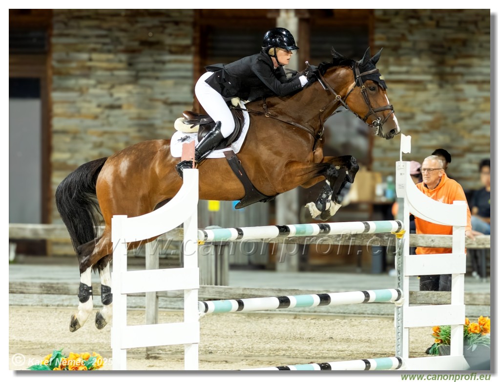 amorn - Danube Champions Tour Week 2