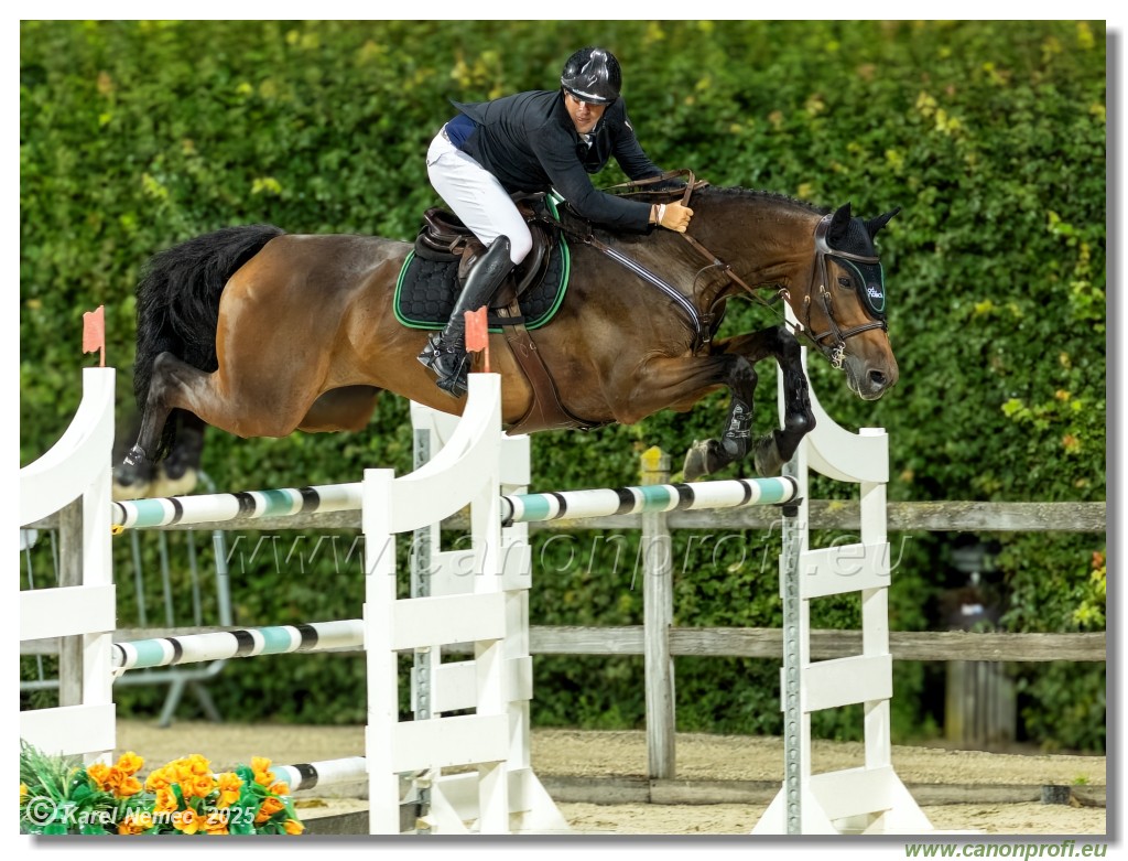 amorn - Danube Champions Tour Week 2