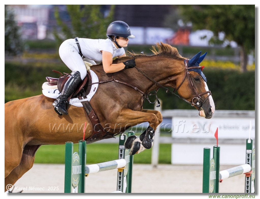 amorn - Danube Champions Tour Week 3