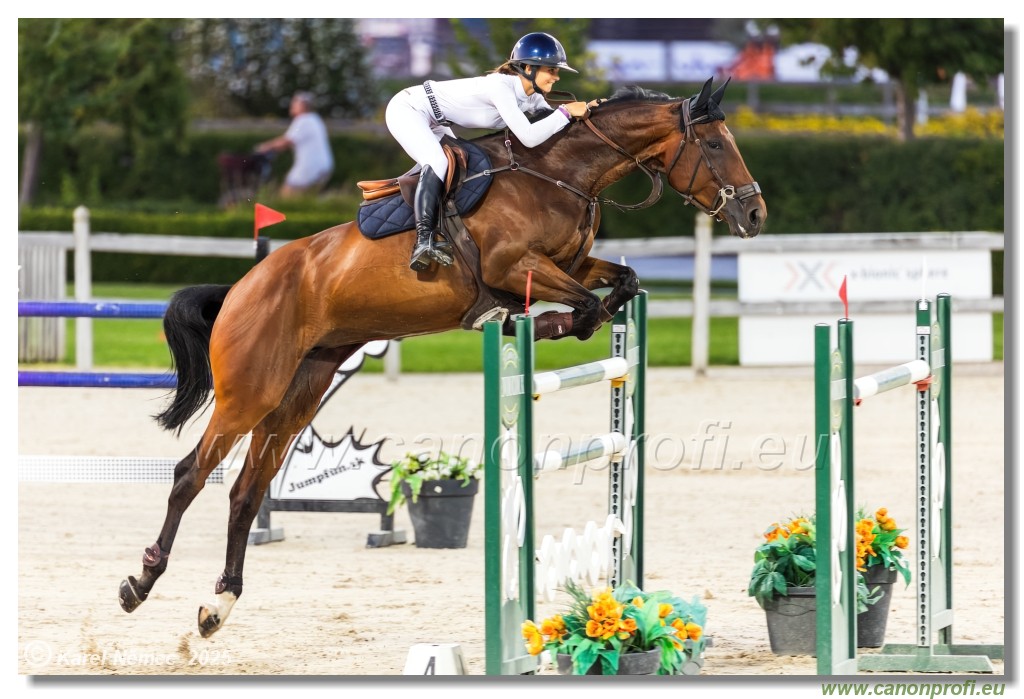 amorn - Danube Champions Tour Week 3