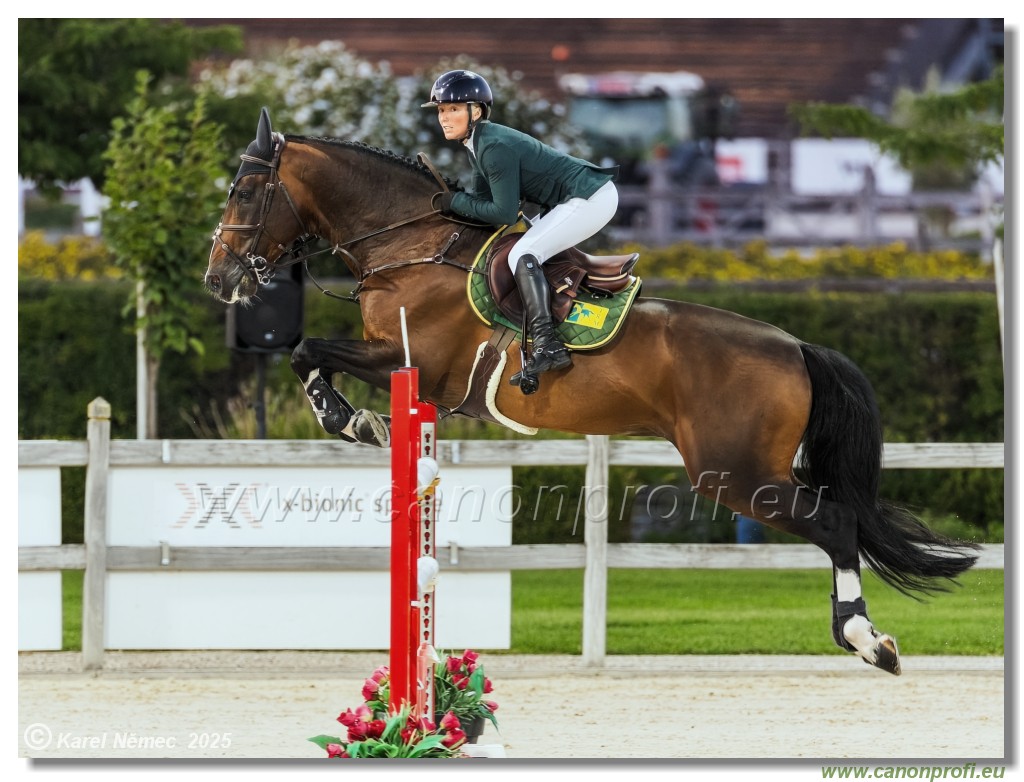 amorn - Danube Champions Tour Week 3