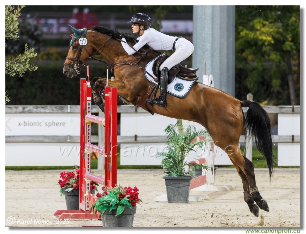 amorn - Danube Champions Tour Week 3