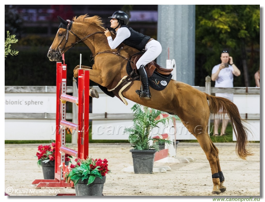 amorn - Danube Champions Tour Week 3