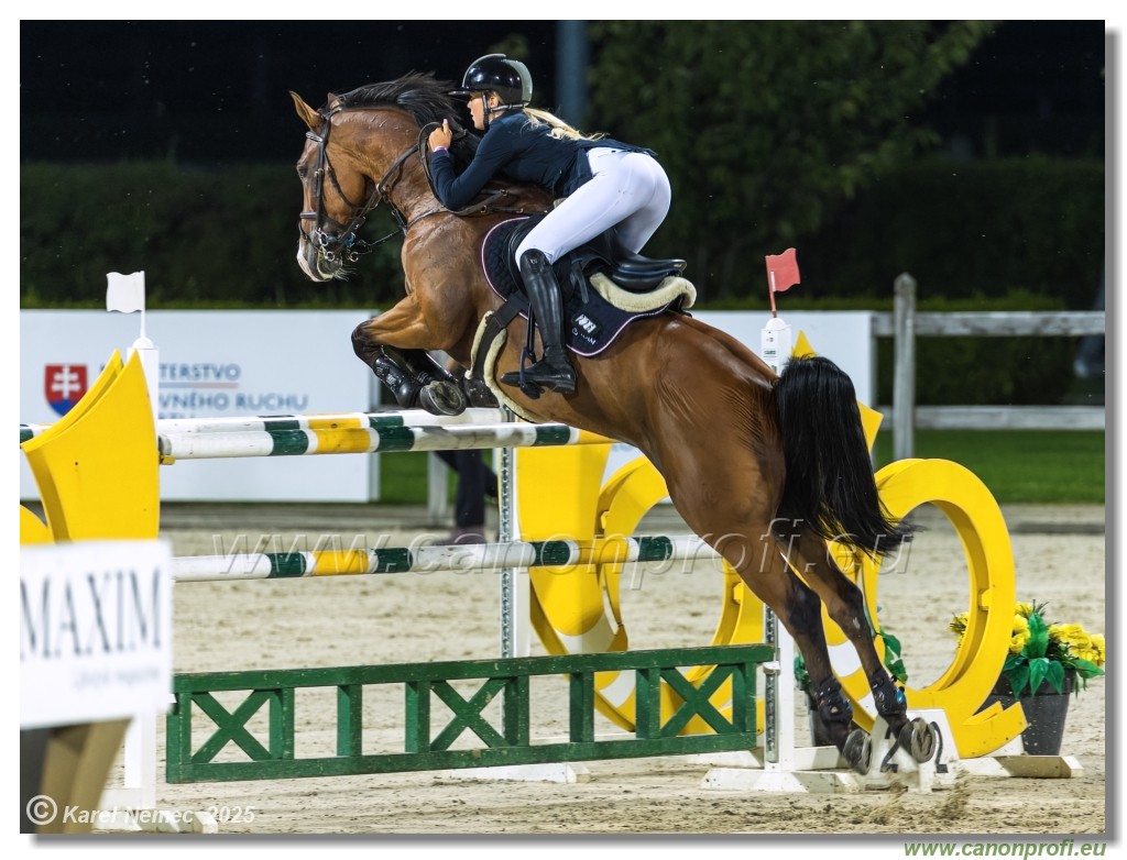 amorn - Danube Champions Tour Week 3