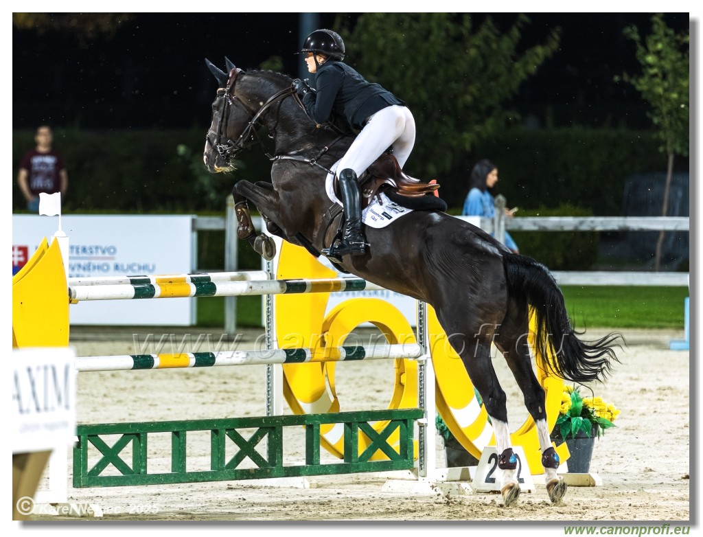 amorn - Danube Champions Tour Week 3