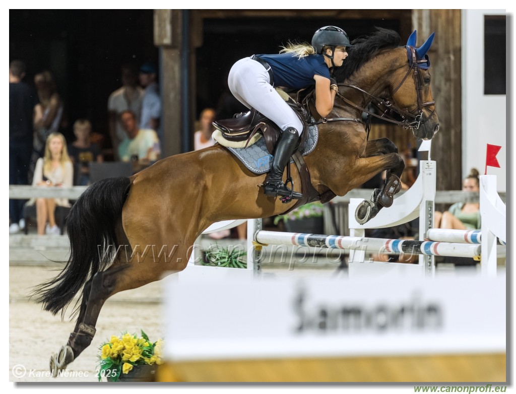 amorn - Danube Champions Tour Week 3