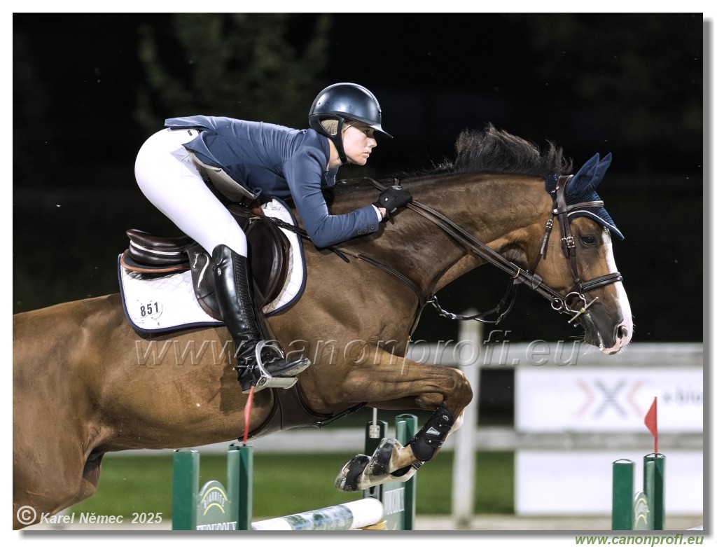 amorn - Danube Champions Tour Week 3