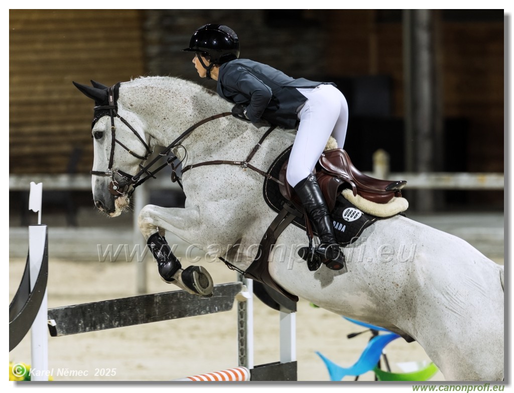 amorn - Danube Champions Tour Week 3