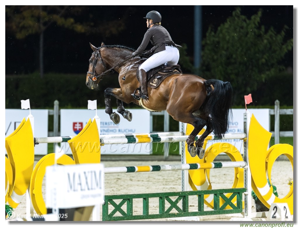 amorn - Danube Champions Tour Week 3