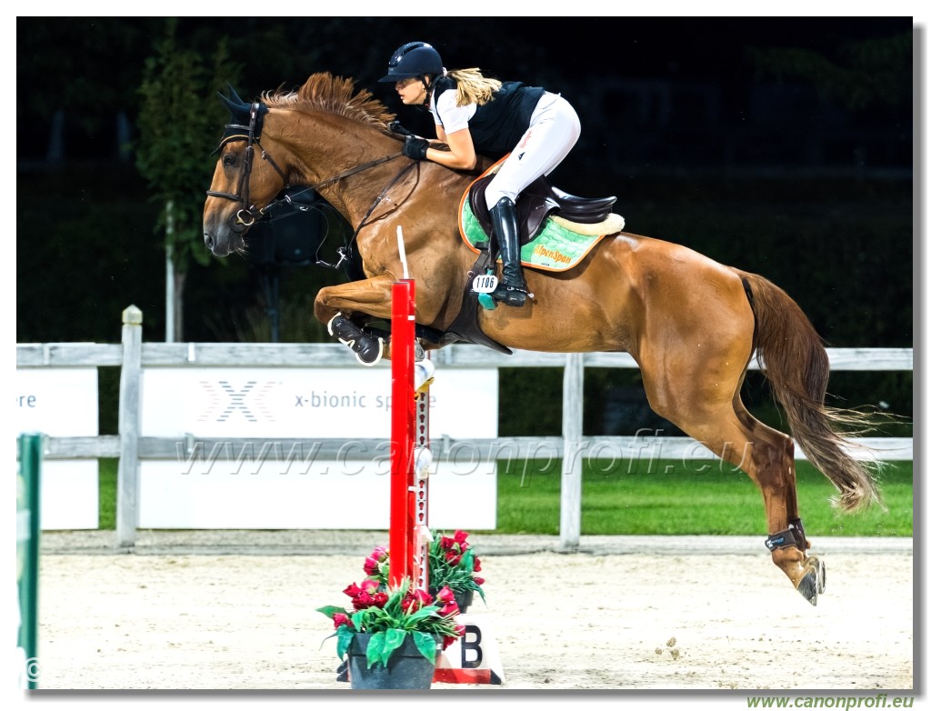 amorn - Danube Champions Tour Week 3