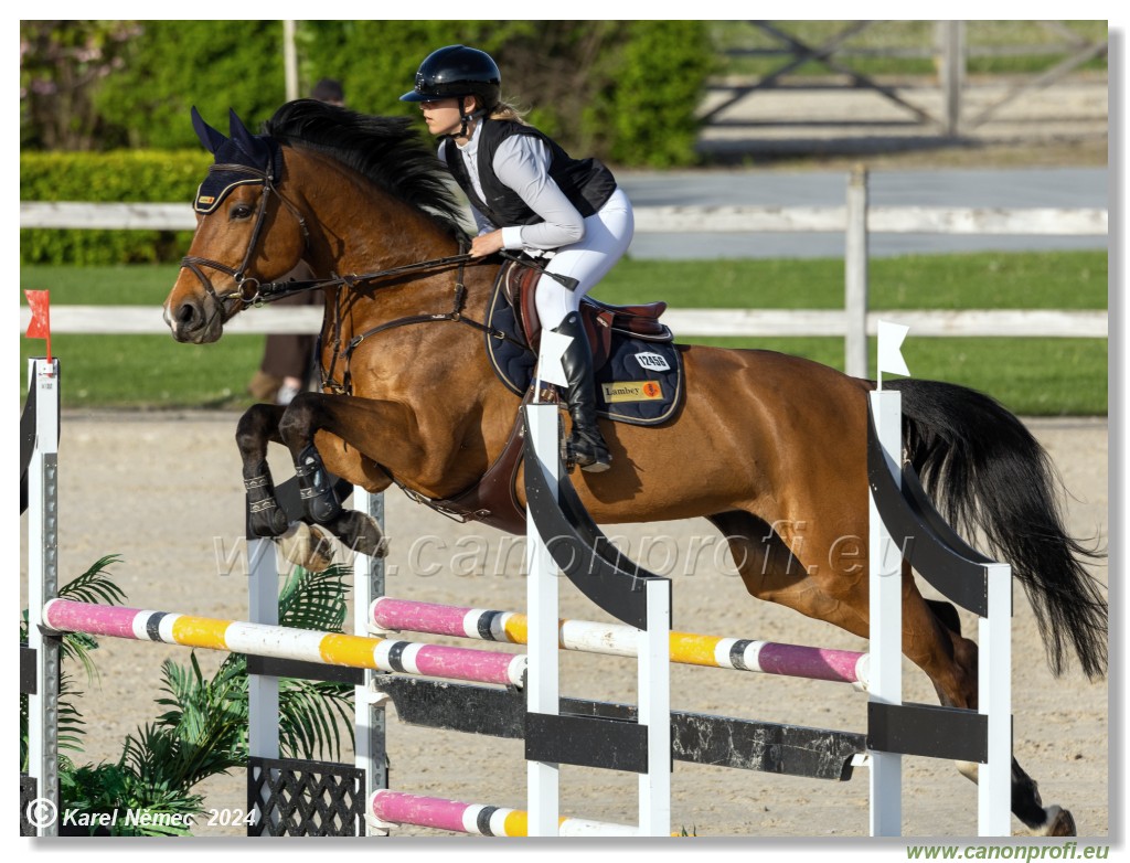 Competition L - 120 cm