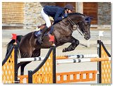 Michal Ziebicki, POL - Balou's Batman 