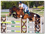 Gerfried Puck, AUT - Equitron Melody Vd Smidshoeve 