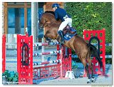 Andrea Messersi, ITA - Quasimodo vh Molenhof 