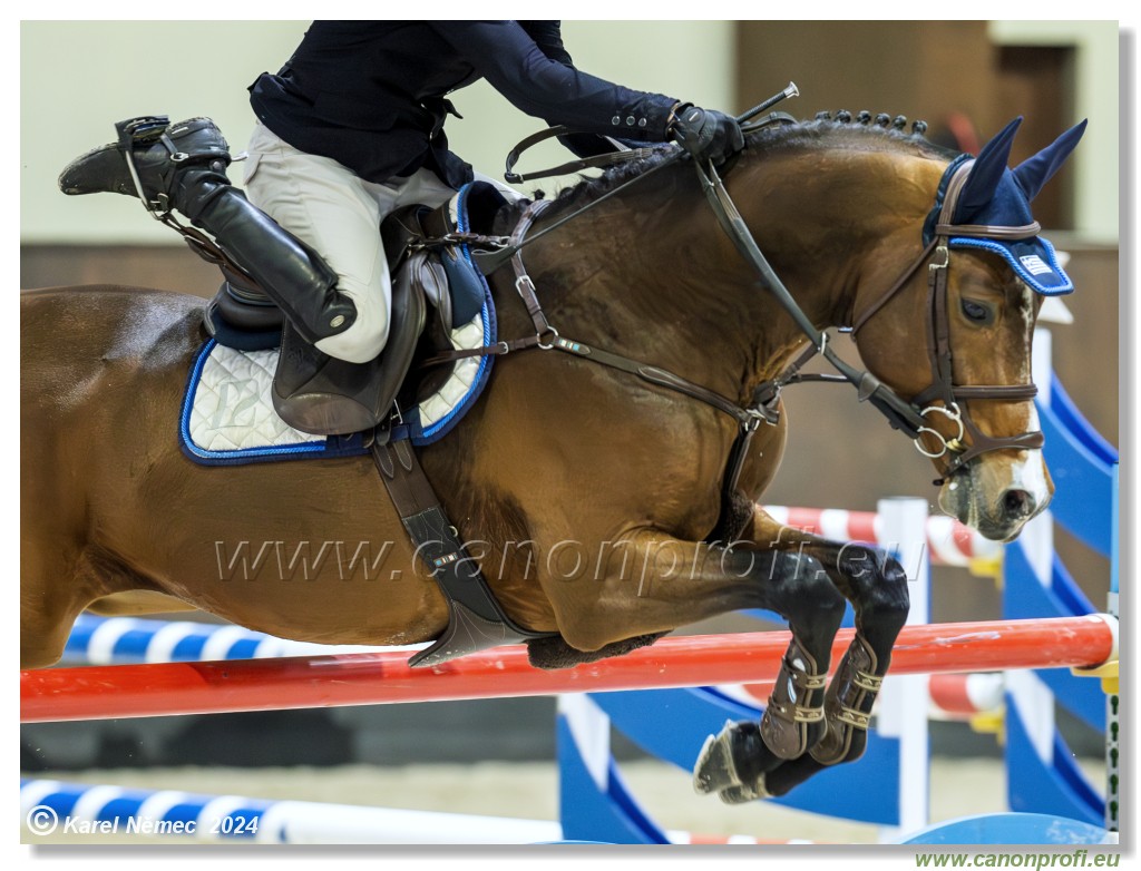 Gold Tour Grand Prix 150 cm