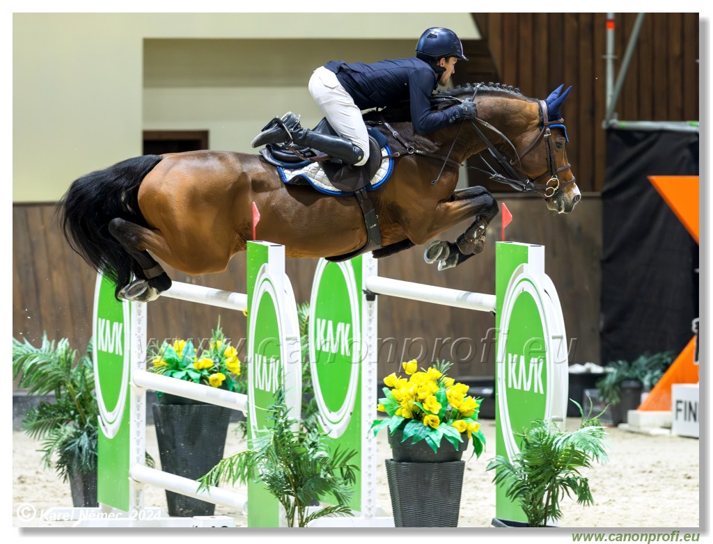 Gold Tour Grand Prix 150 cm