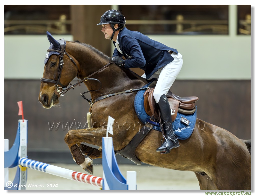 Gold Tour Grand Prix 150 cm