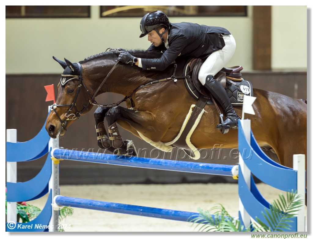 Gold Tour Grand Prix 150 cm