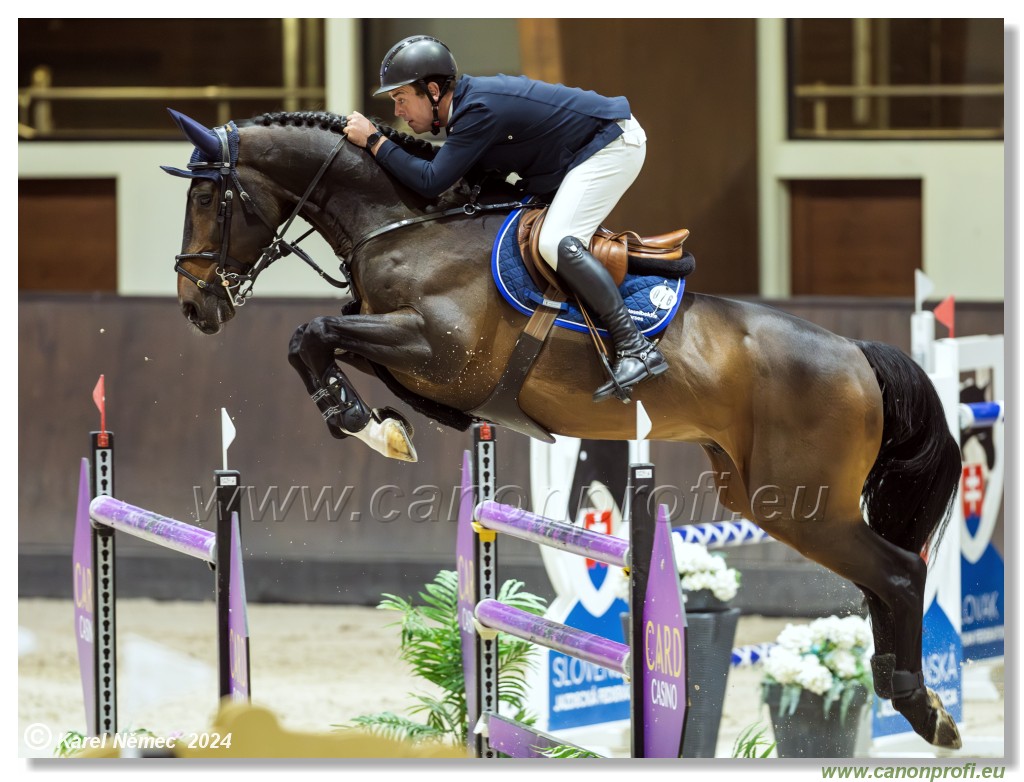 Gold Tour Grand Prix 150 cm
