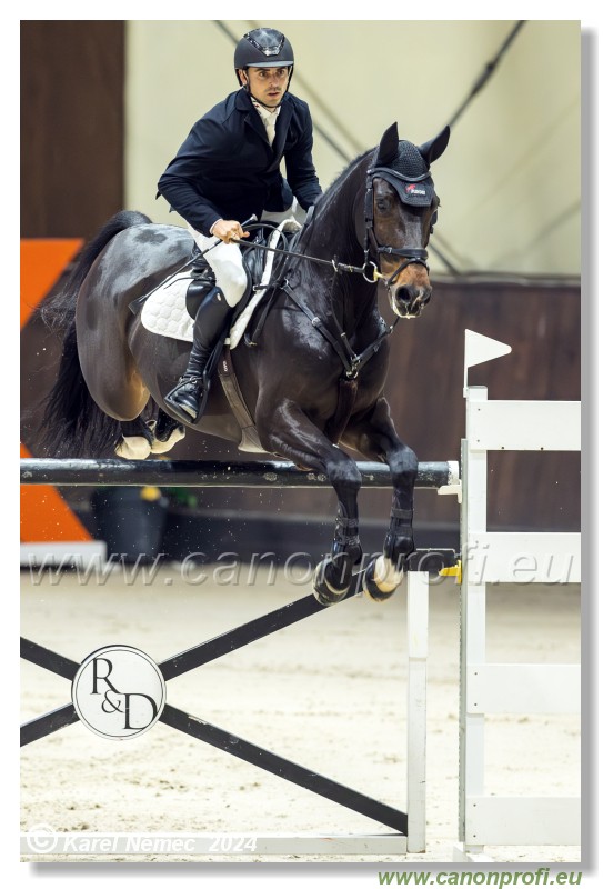 Gold Tour Grand Prix 150 cm
